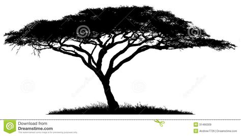 Silhouette of the tree-acacia | African tree, Tree silhouette, Tree art