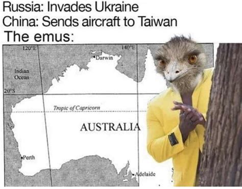 Australia lookin thicc | /r/ww3memes | Emu War | Know Your Meme