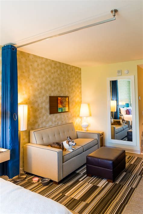 The Top 10 Best Pet-Friendly Hotels Along I-10 For Every Budget ...