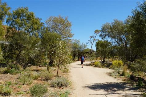 Alice Springs - Alice Springs Desert Park - Cruzinallaroundoz