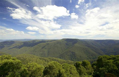 Barrington Tops National Park | NSW Holidays & Accommodation, Things to ...