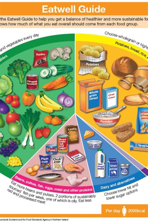 what is types of balanced diet food list chart | Diet a balanced diet ...