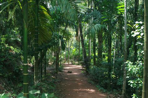 Sahakari Spice Farm, Goa - Times of India Travel