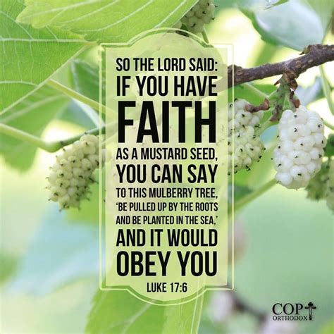 Luke 17:6 So the Lord said, “If you have faith as a mustard seed, you ...