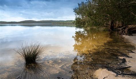 Freshwater campground | NSW National Parks