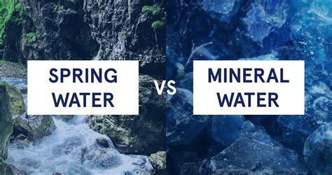 Spring vs Mineral Water: What is the Difference? | Natural Springs ...