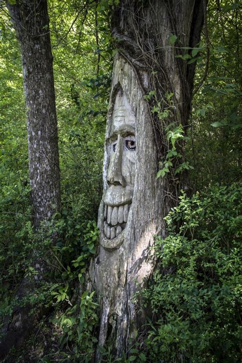 Tree Trunk Carving - ViewBug.com