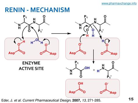 PPT - DIRECT RENIN INHIBITORS AS ANTIHYPERTENSIVE DRUGS PowerPoint ...