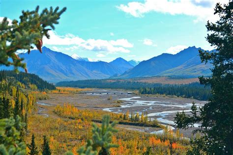 20 Photos To Inspire You To Visit Denali National Park (+ TIPS ...