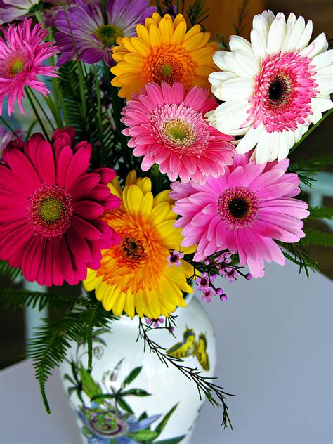 Gerbera Daisy Bouquet by Marilyn Hunt