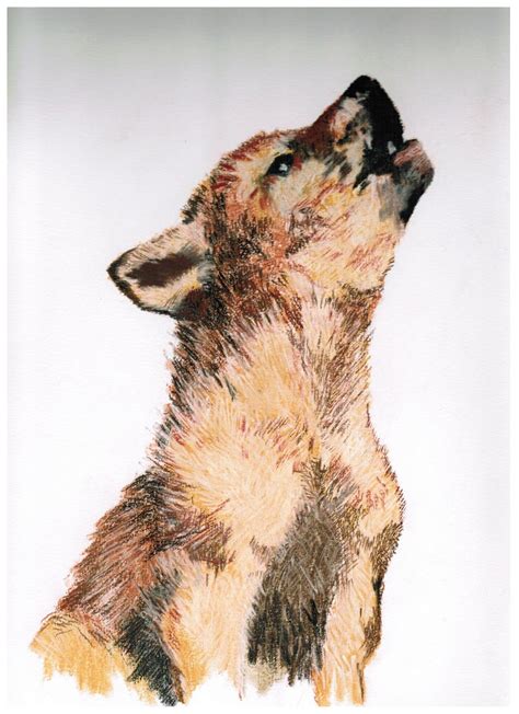 Wolf Cub Drawing at GetDrawings | Free download