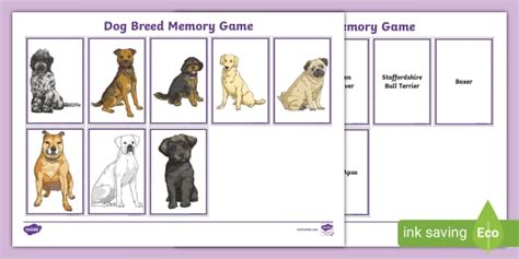 Dog Breed Memory Game (teacher made) - Twinkl