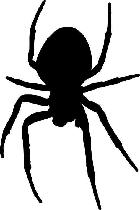 spider silhouette clipart 20 free Cliparts | Download images on ...