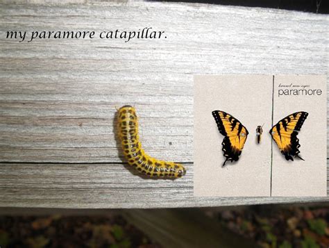 Paramore Brand New Eyes Album Cover