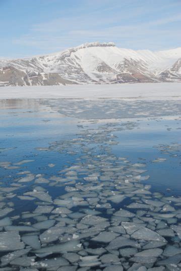 Climate change ravages Svalbard - Norway's News in English — www ...