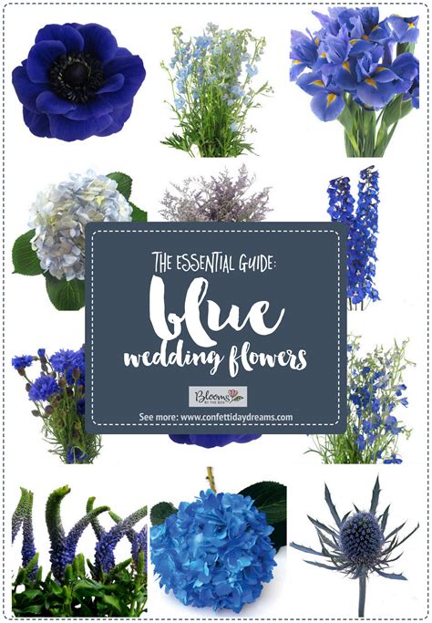 Essential Blue Wedding Flowers Guide: Types, Names, Seasons + Pics