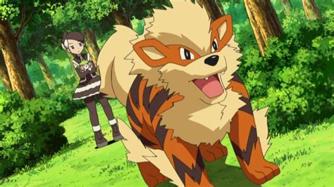 Best moveset for Arcanine in Pokémon Go | Gamepur