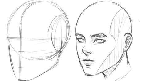 How to Draw Human Head 3/4 View | Drawing tutorial face, Human face ...