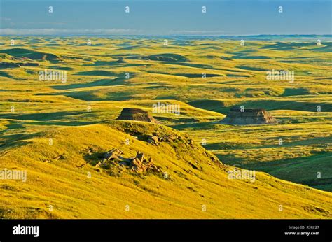 Canada, Saskatchewan, Grasslands National Park. Killdeer Badlands ...