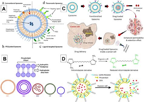 Nanocarrier drug resistant tumor interactions: novel approaches to ...