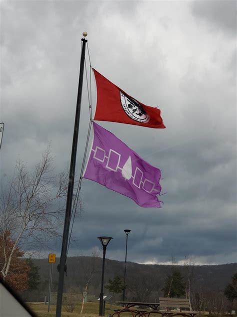 The best of /r/vexillology — The flag of The Iroquois I saw flying ...