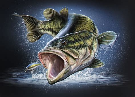 Largemouth Bass Fish Paintings