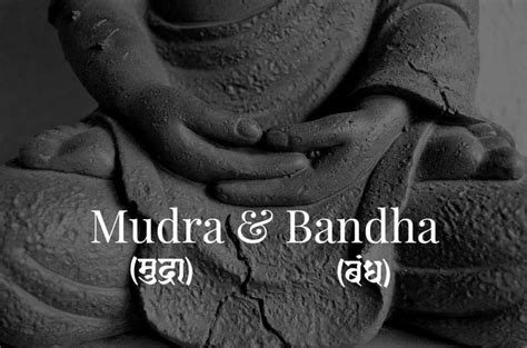 Mudra and Bandha - Shiva Shakti Yoga | Yoga teacher training india ...