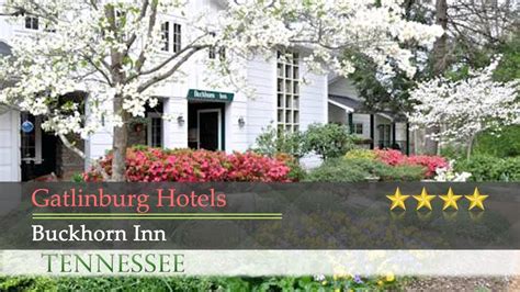 Buckhorn Inn - Gatlinburg Hotels, Tennessee - YouTube