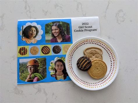 Cristin Creates - Brownie Badge: Cookie Decision Maker in 2023 ...