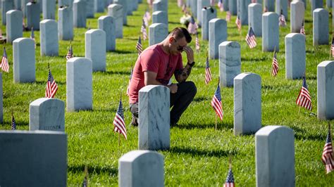 Arlington National Cemetery Veterans Day 2024 Holiday - Vonni Johannah