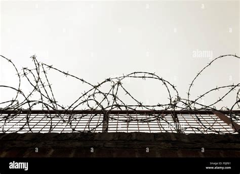 Barb Wire Fence Stock Photo - Alamy