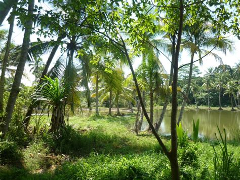 Pulau Ubin Island view - JFKoen.com