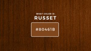 What Color Is Russet? About Russet Color