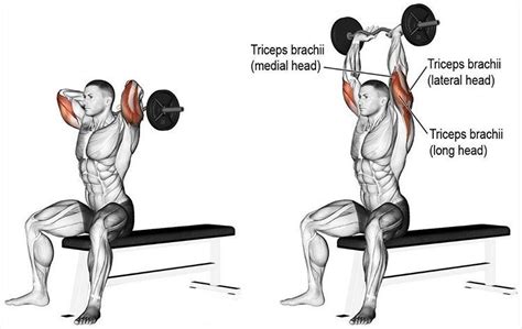 Pin on Best Triceps Exercises