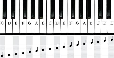 How To Practice Piano Scales - MSpot - The Spot for Musical Instruments ...