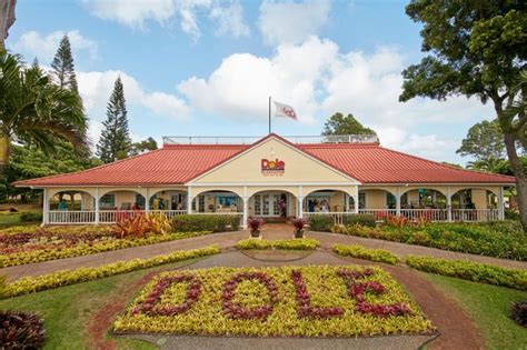 Best Pineapple Farms in Hawaii to Visit || Island and You