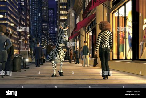 MARTY THE ZEBRA, MADAGASCAR, 2005 Stock Photo - Alamy