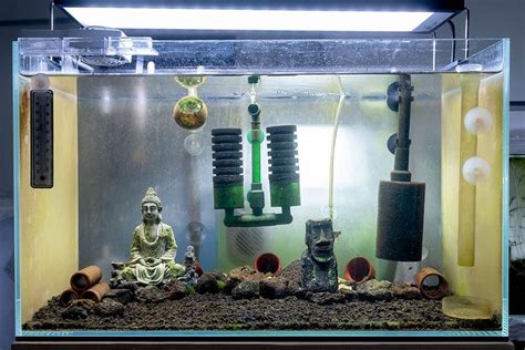 10 DIY Aquarium Filter Ideas To Try Today (With Pictures) | Hepper