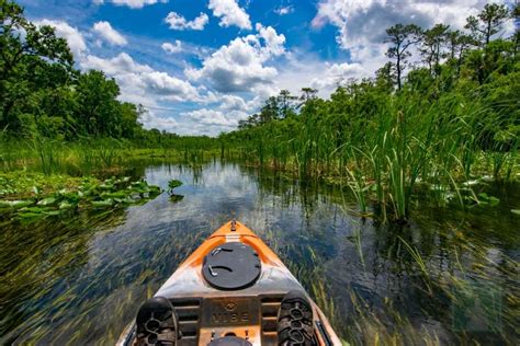 Alexander Springs: A Favorite Florida Swimming Hole for at Least 10,000 ...