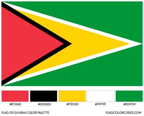 Guyana flag color codes