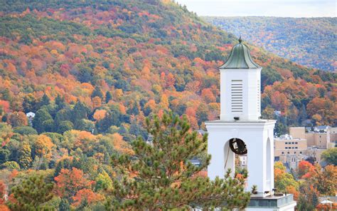 Regional Councils| Hartwick College