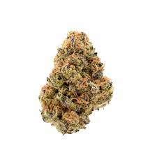 Dosi Punch - Greenway Medical