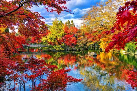 Serene Autumn Reflections: A Japanese Garden HD Wallpaper