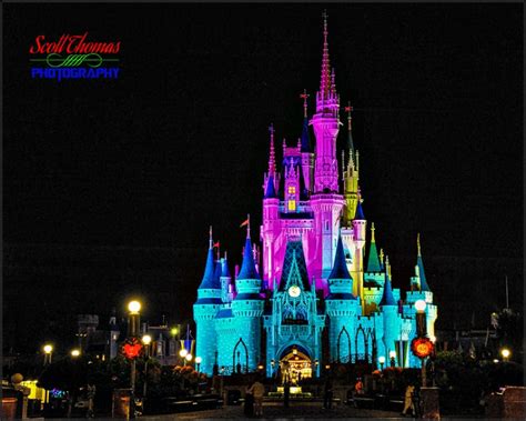 Photography on Hot Summer Nights at Walt Disney World Parks - AllEars.Net