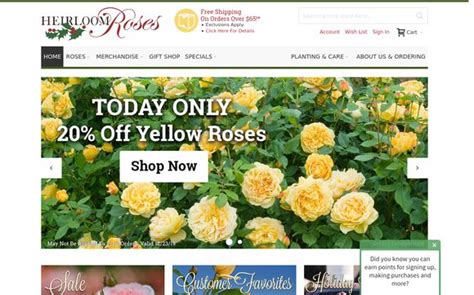 Heirloom Roses Reviews - 3 Reviews of Heirloomroses.com | Sitejabber