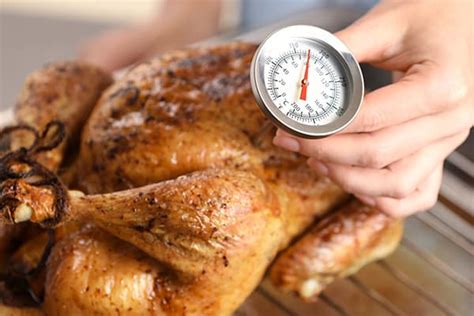 How to Defrost a Turkey for Thanksgiving | AlphaTek Appliance