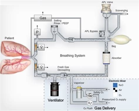 https://static.draeger.com/ventilation/Simulators/Primus/index.html#/en ...