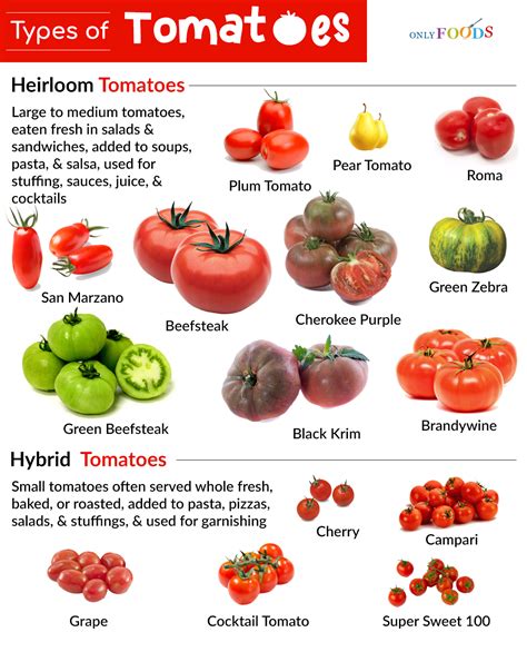 15 Different Types of Tomatoes for Snacking, Cooking, and More