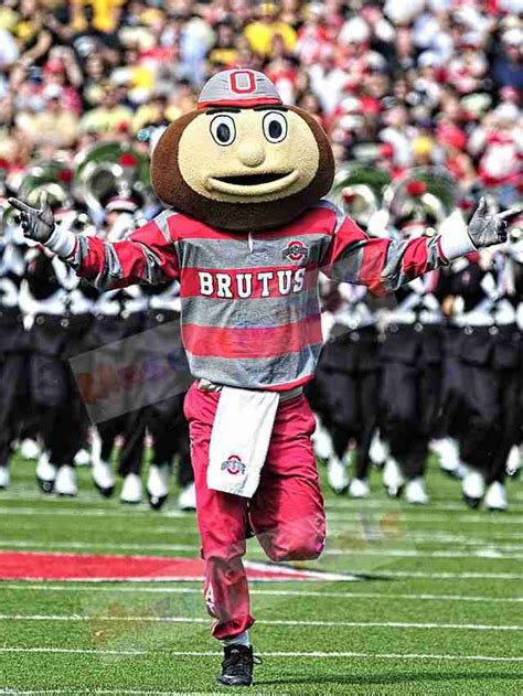 College University Brutus Buckeye Mascot Costume Cheerleaders Cartoon