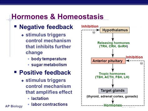 Homeostasis - Miss Voss' Science